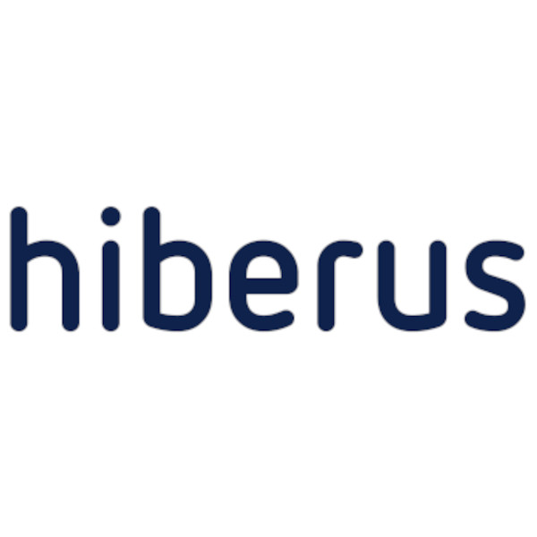 Hiberus IT Development Services