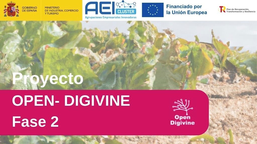 AERTIC participa en la segunda edición del proyecto OPEN-DIGIVINE